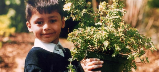 Small boy holding growing plant